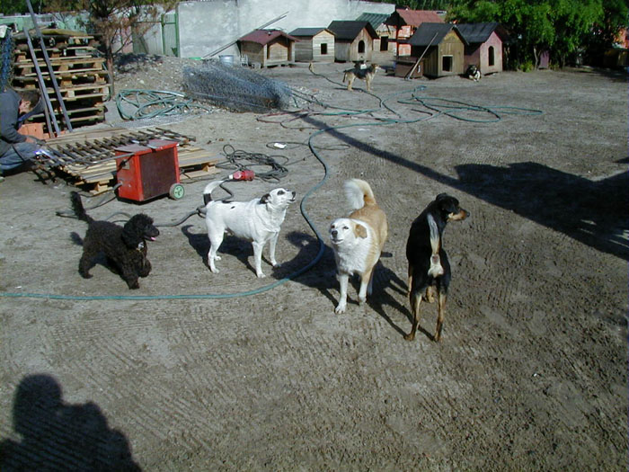 P1010037
