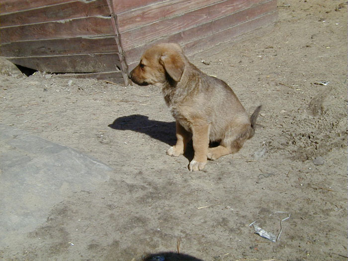 P1010075