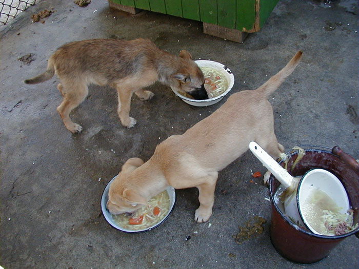 P1010089