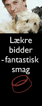 banner2