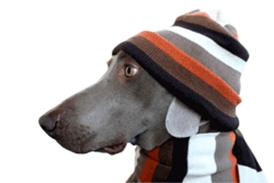 OPERATION-X_MAS_DOG_250px.gif