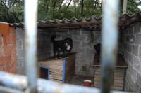 _YLL6520