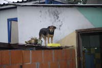 _YLL6568