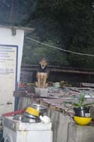 _YLL6586