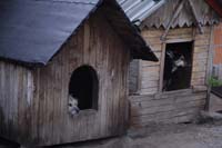 _YLL6593