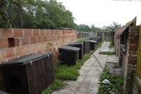 _YLL6717