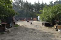_YLL6744